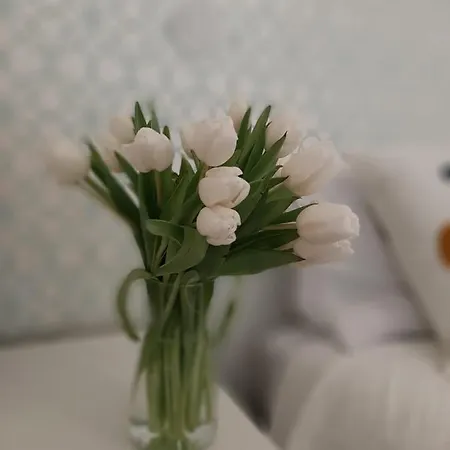 Residenza Dutzu - Appartement Leiria