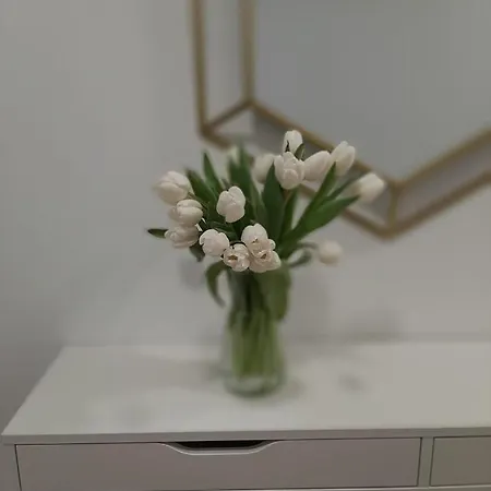 Residenza Dutzu - Appartement 4*